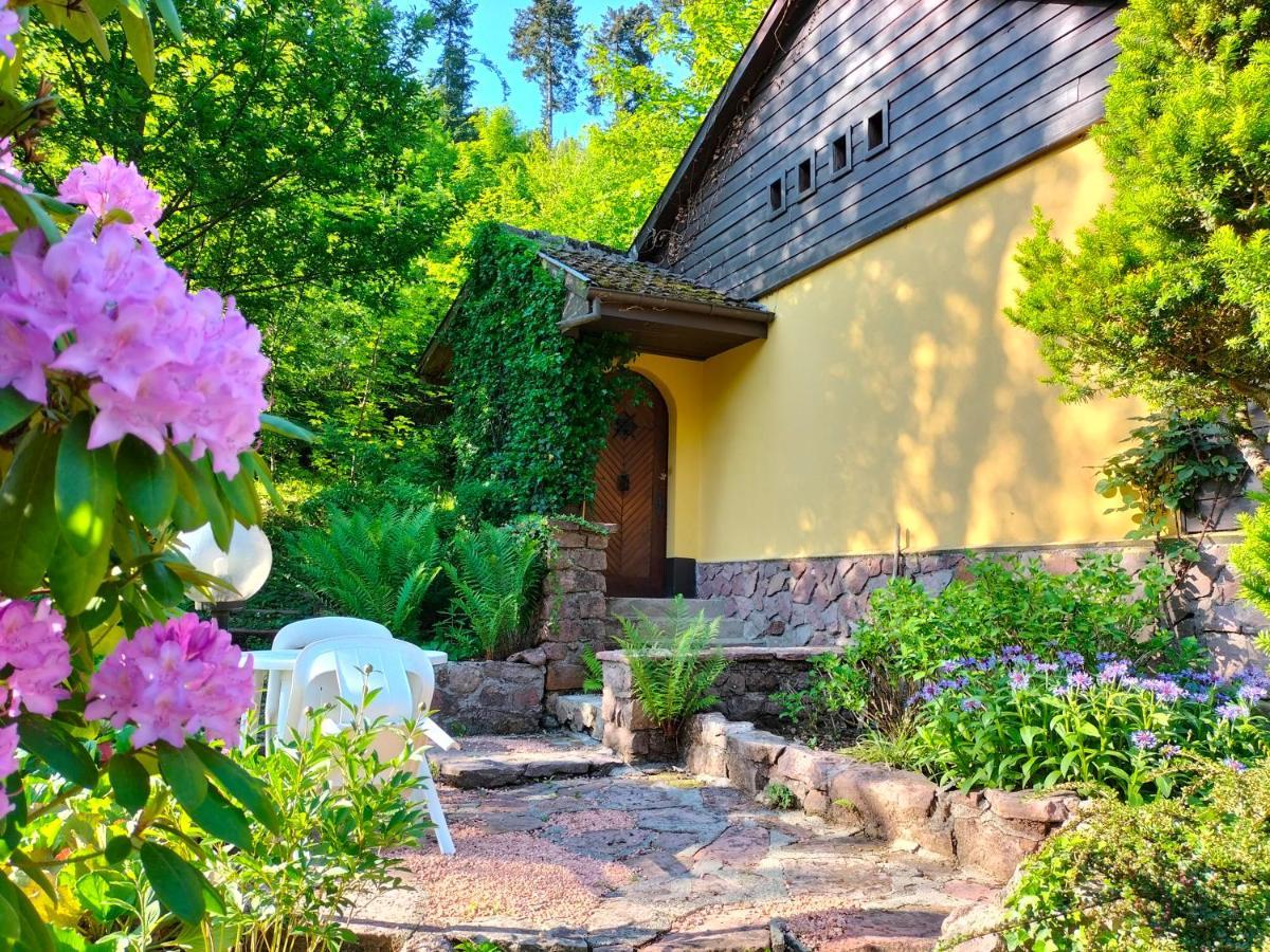 Le Saint Barnabe & Spa - Near Guebwiller Buhl Buitenkant foto